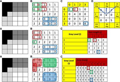 Spatial assessments in texture analysis: what the radiologist needs to know